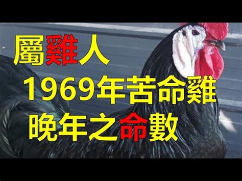 66年屬什麼|【66屬什麼】民國66年屬什麼生肖？你的生肖歲數快來對照看。